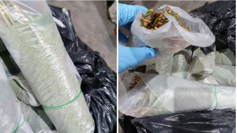 涉走私近6公斤“葛冬”叶 5男子落网