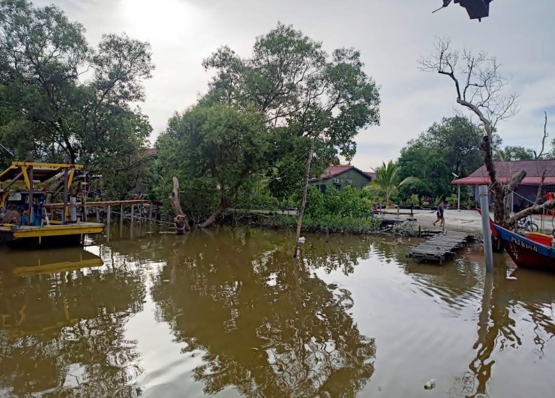 潮水雨水一起来 下霹人民警惕水灾