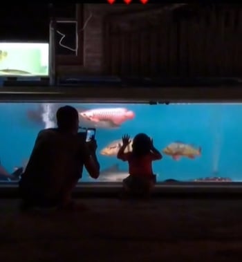 男子自家门前打造“水族馆” 供民众免费赏鱼