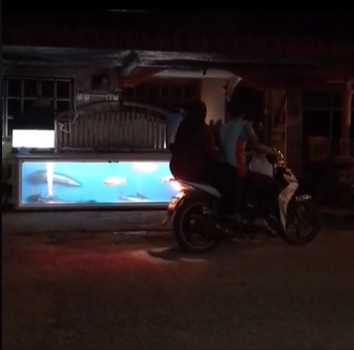 男子自家门前打造“水族馆” 供民众免费赏鱼