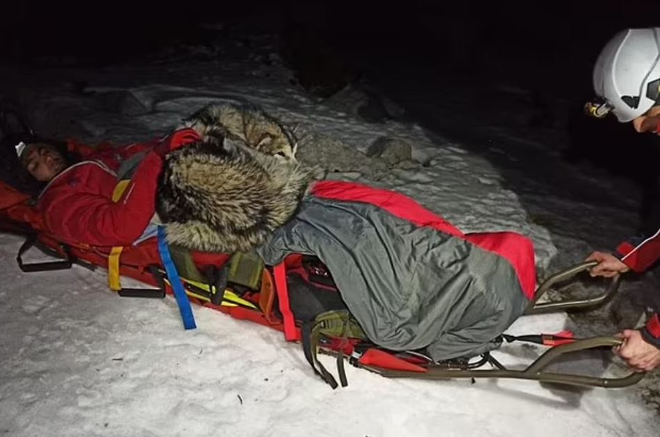 男子雪山失足受困 雪橇狗助保温成救人英雄