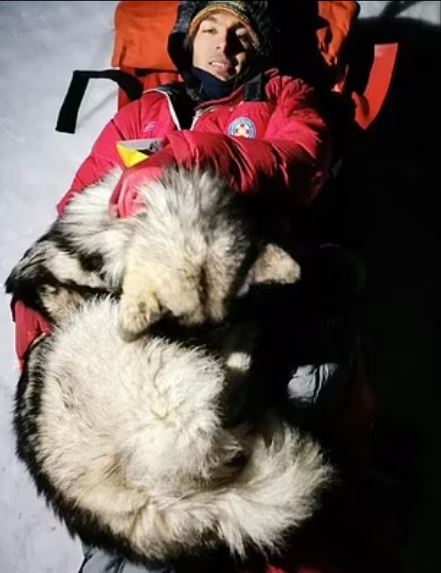 男子雪山失足受困 雪橇狗助保温成救人英雄