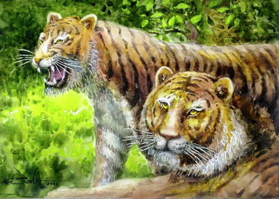 画页:勇者,无惧未来