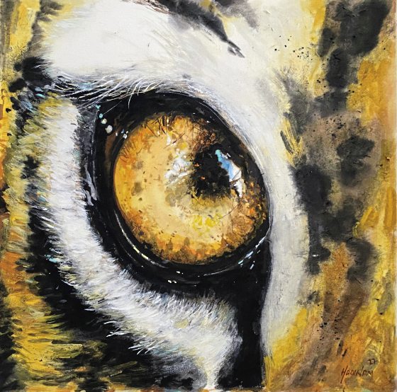 画页:勇者,无惧未来