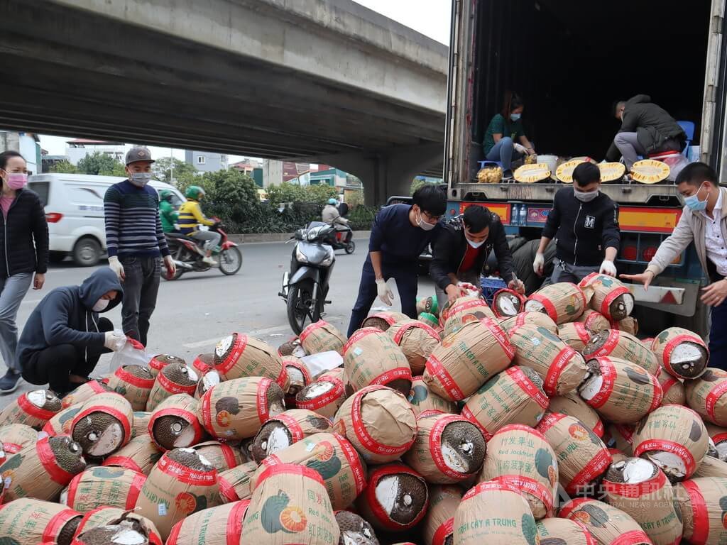 看世界)中国防疫卡关越南水果 业者赔千万河内街头拍卖
