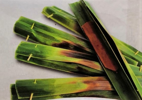 综合(全国版)订书钉跟进