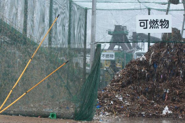 编采手记：关丽玲