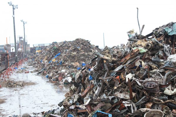 编采手记：关丽玲