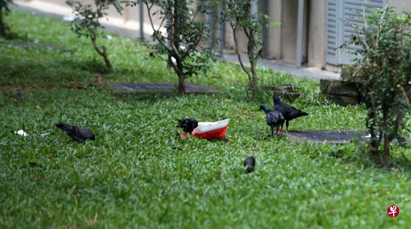 脚车铁条瓶子抛下楼 居民申诉险被砸