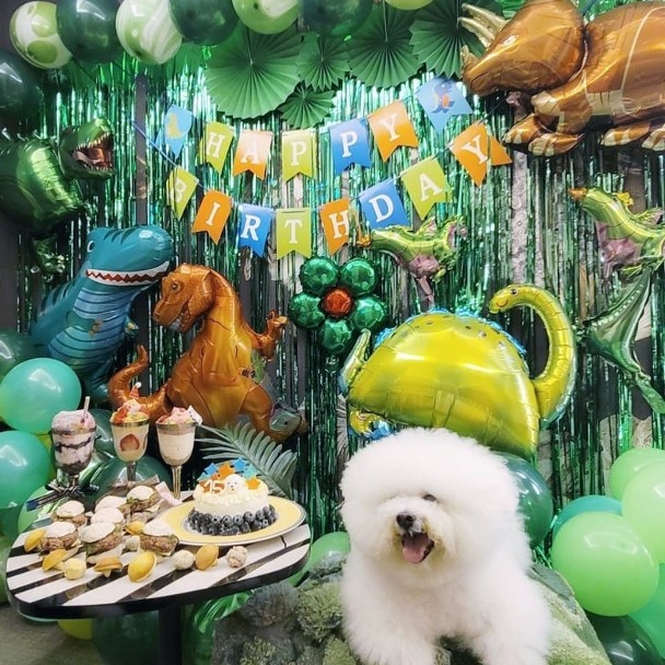 蔡依林欢庆爱犬15岁生日 网民叹羡人不如狗