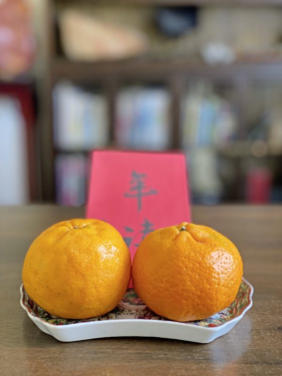 郑锦华／​大吉大利，苦尽“柑”来