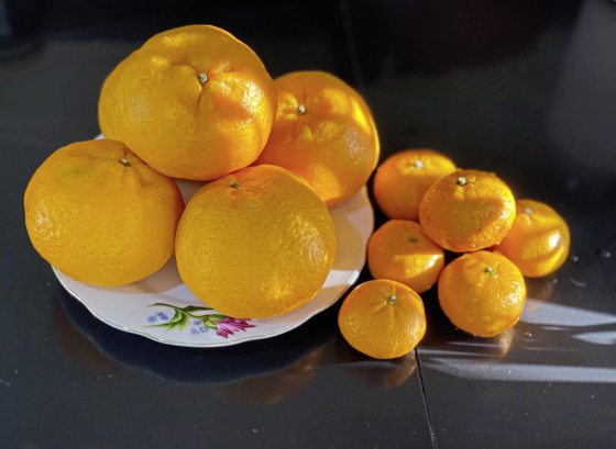 郑锦华／​大吉大利，苦尽“柑”来