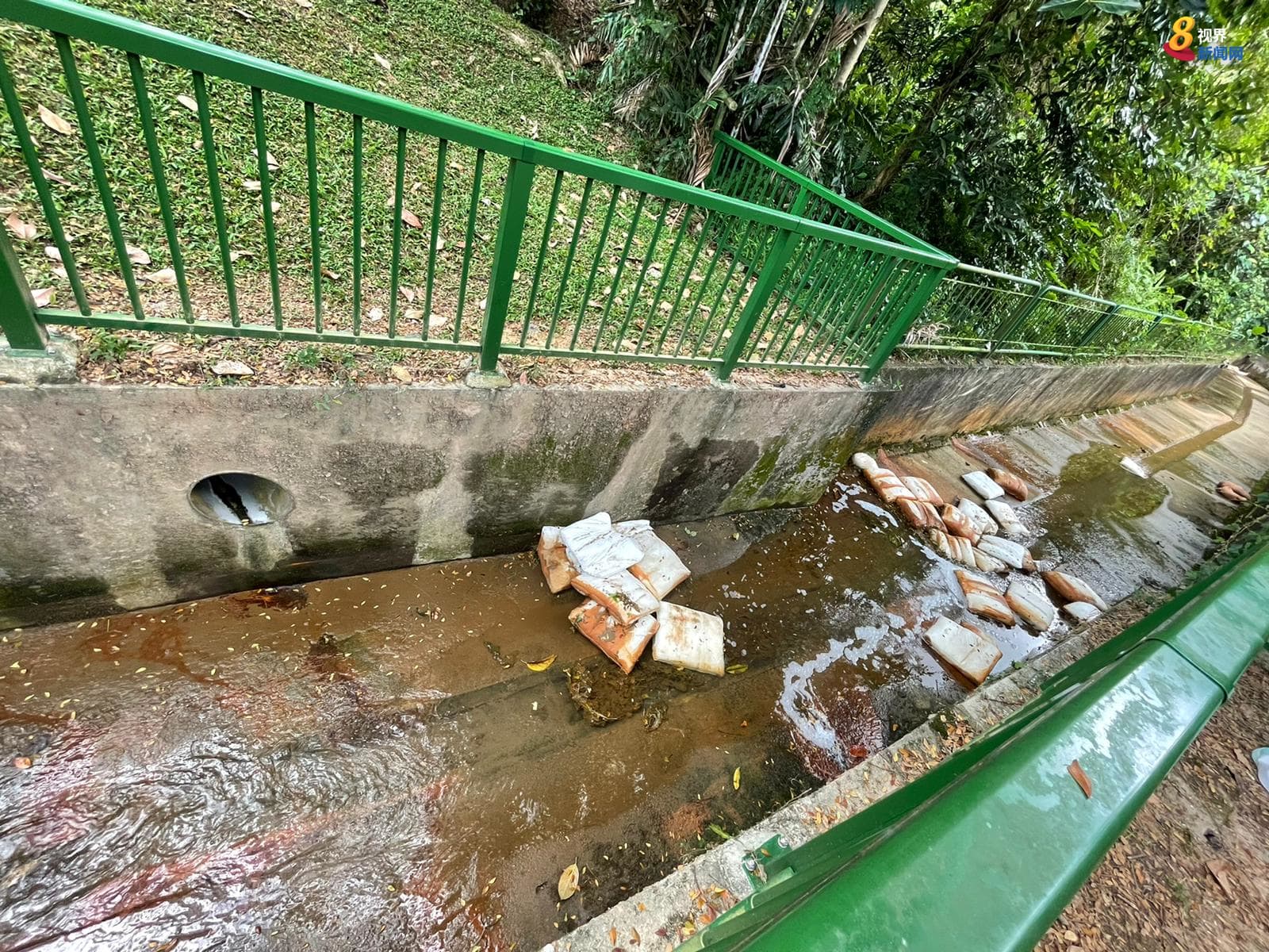 配文加一图/武吉知马路上段双胞胎双尸案