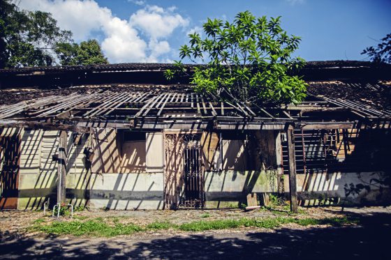 陈子韩／随便拍