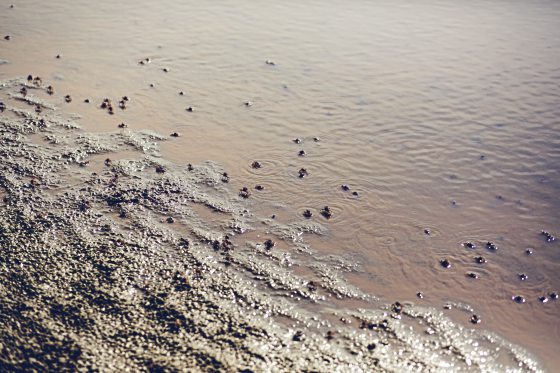 陈子韩／随便拍