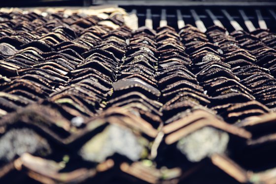 陈子韩／随便拍