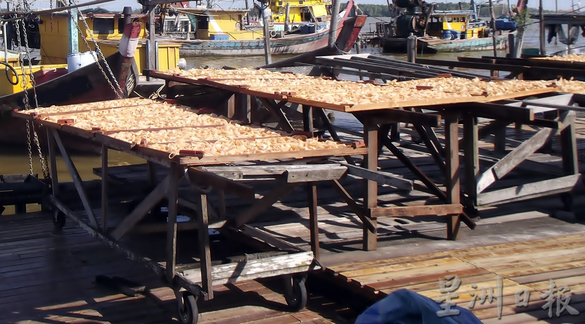 霹／版3头／行管令雨天产量减 今年春节虾签大缺货