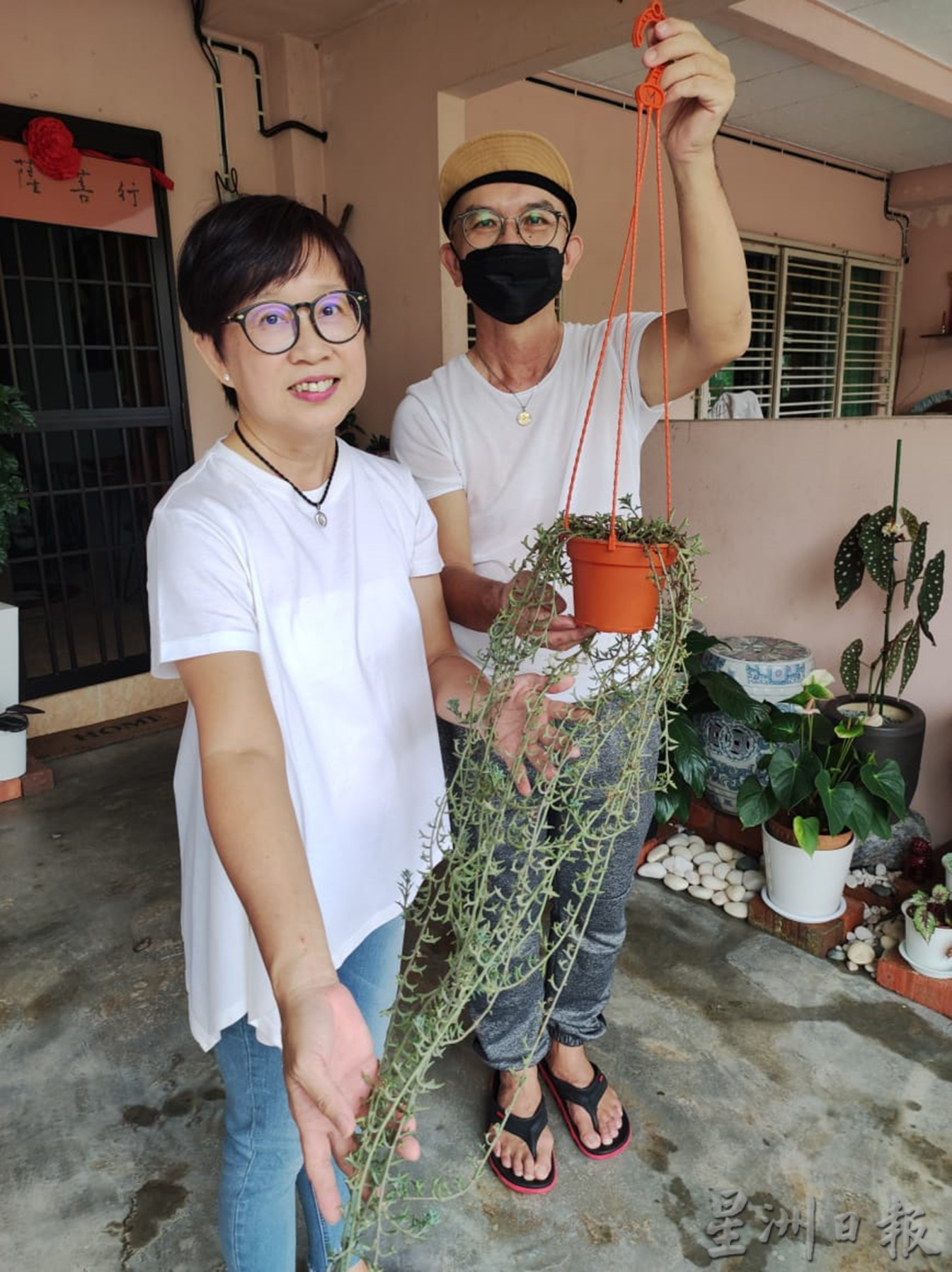 霹:13日见报/封底主文/乐活频道/满庭翠绿疗愈身心