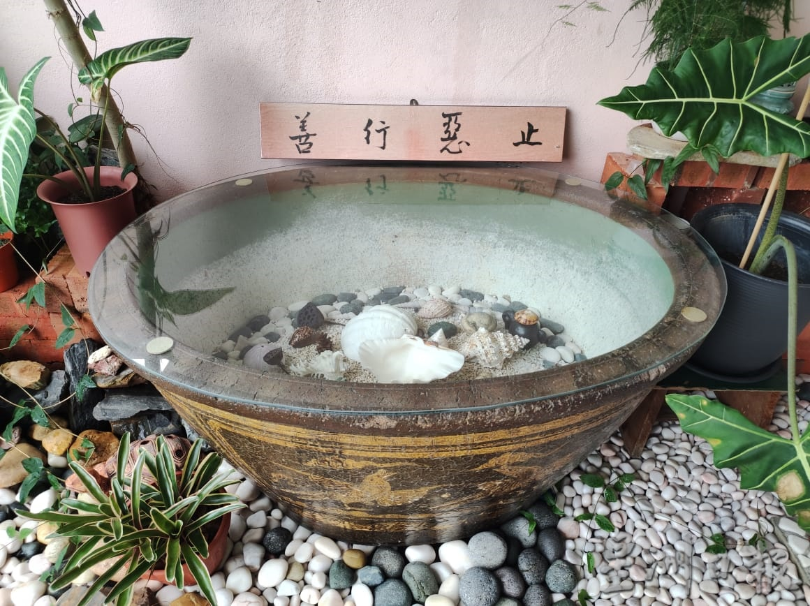 霹：13日见报／封底主文／乐活频道／满庭翠绿疗愈身心