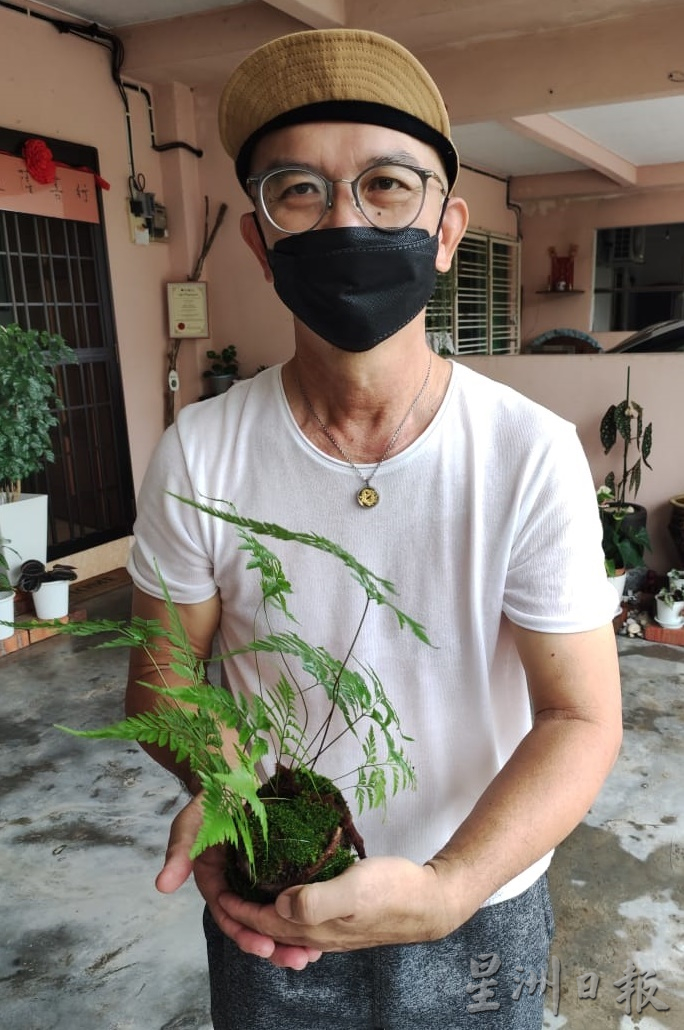 霹:13日见报/封底主文/乐活频道/满庭翠绿疗愈身心