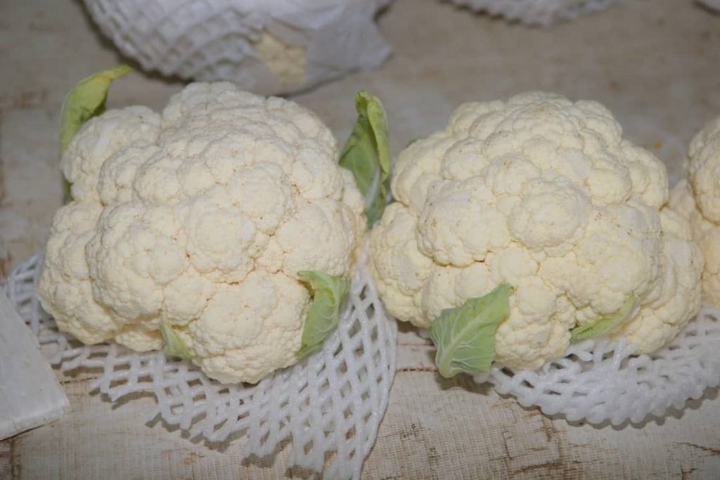 霹:封面主文/年柑年花最后冲刺 部分年货断市 市道后劲十足