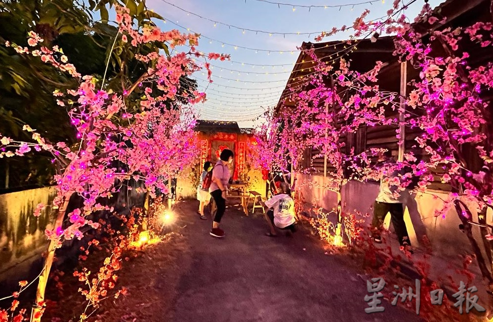 马接梅花街亮灯年味浓 赖家濠：延续传承中华文化