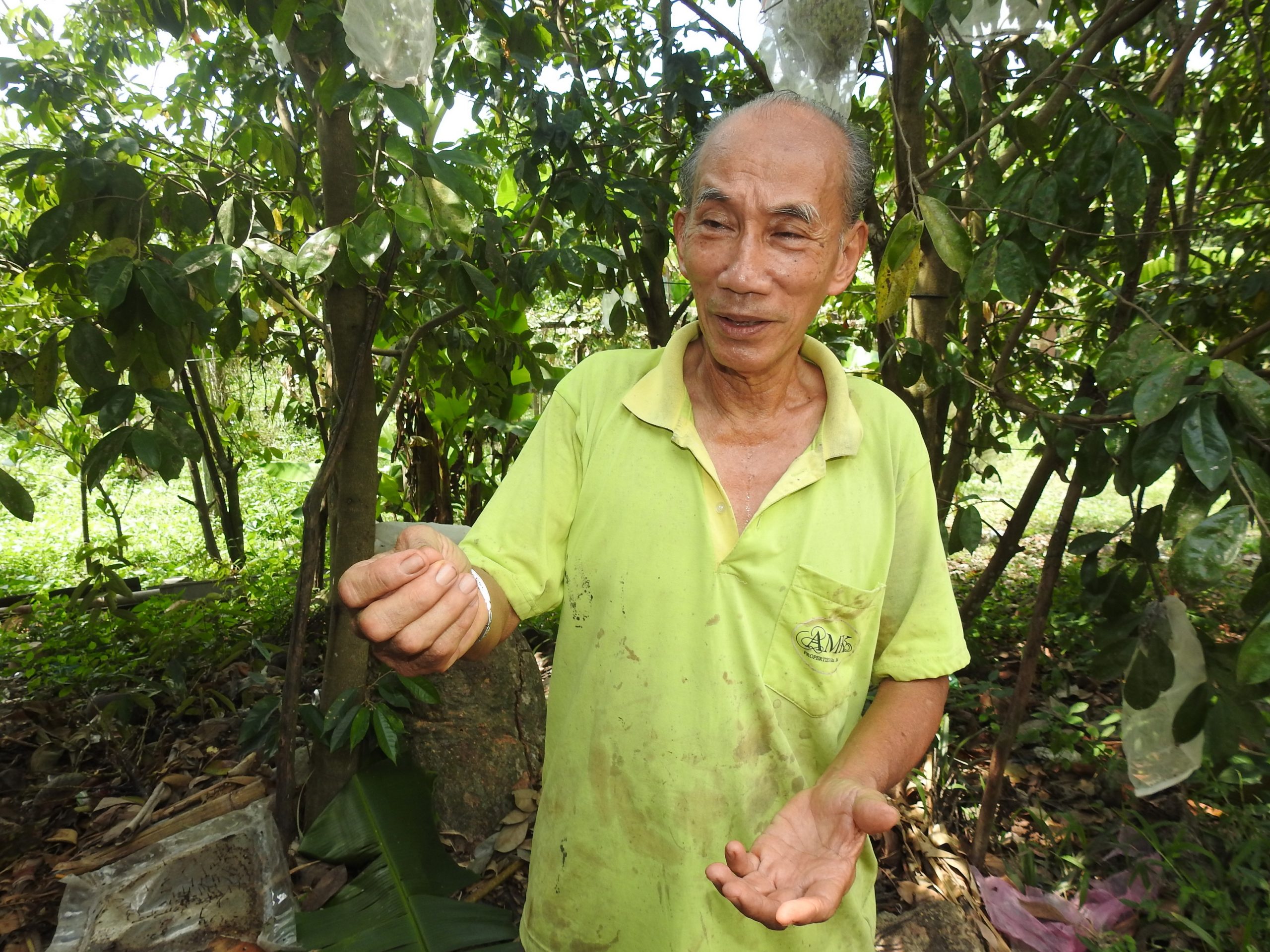 （19/1／有故事的人）退休老师养银蜂--柯作源
