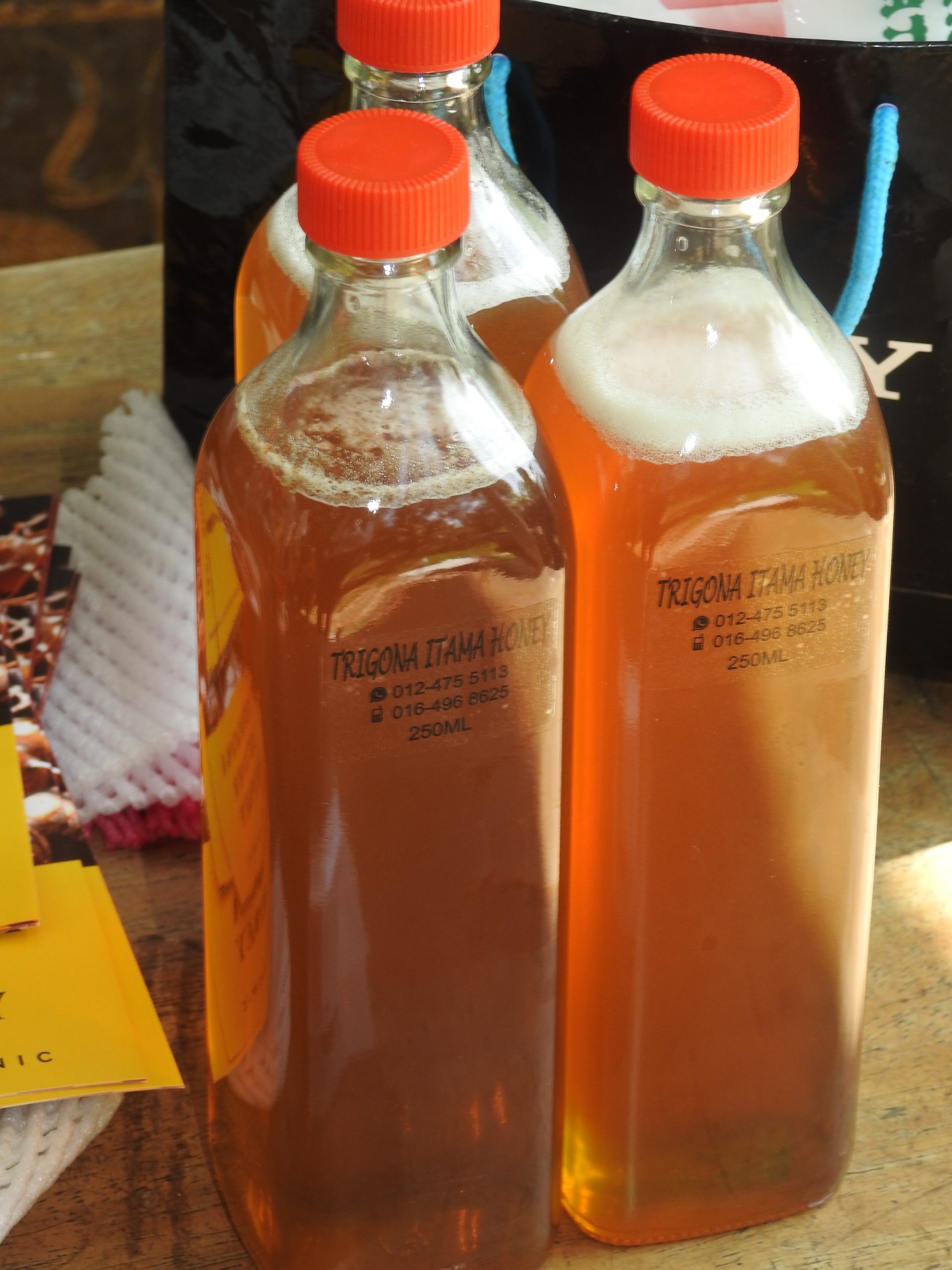 （19/1／有故事的人）退休老师养银蜂--柯作源