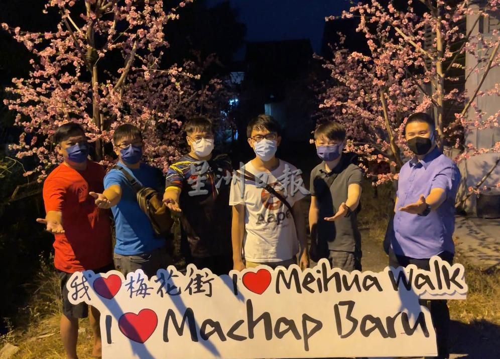 （古城封面主文）马接峇鲁梅花街布置中·打造回家过年期盼