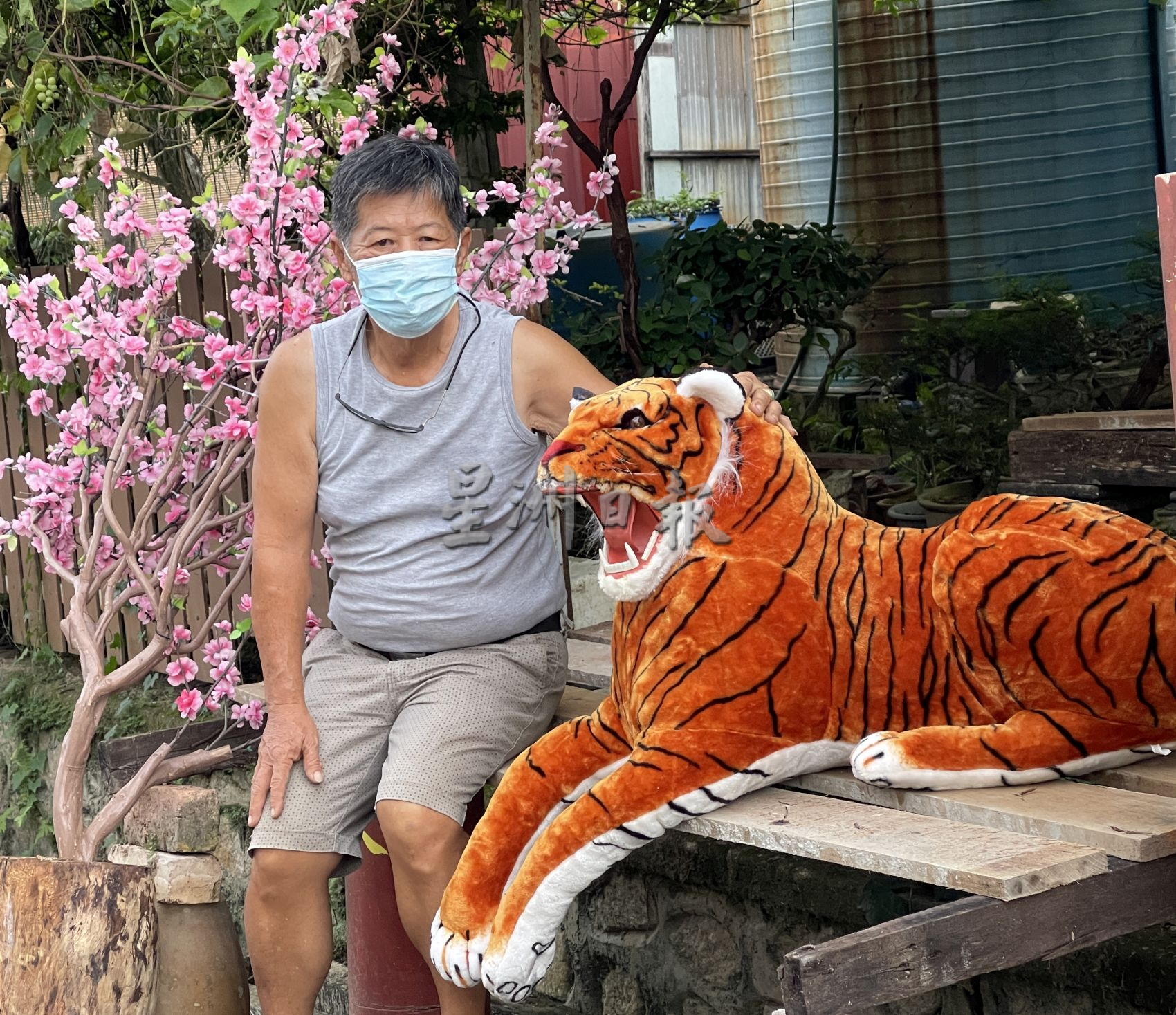 (古城封面主文)马接峇鲁梅花街布置中·打造回家过年期盼