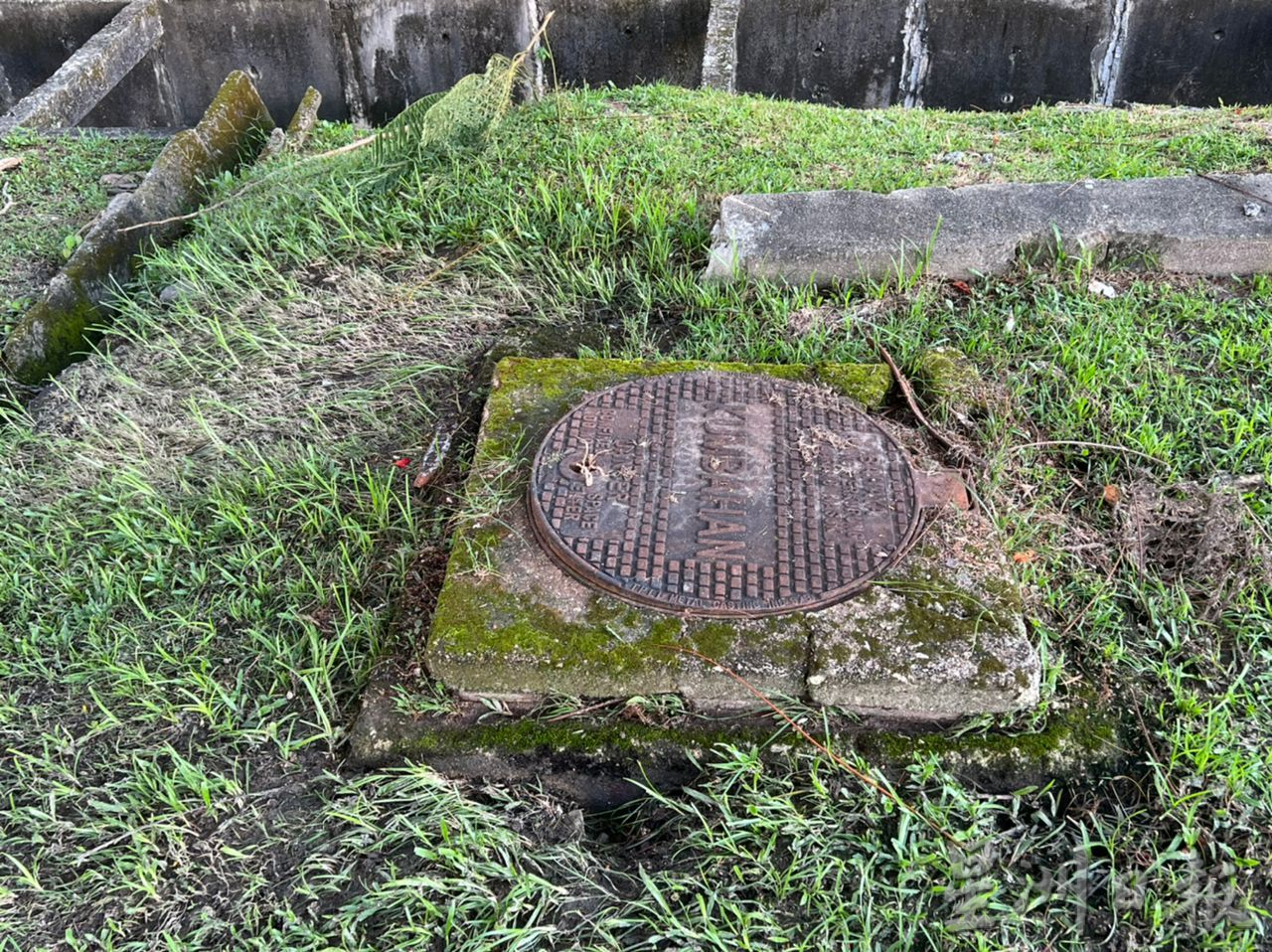 （古城第3版主文）树干压毁粪池盖影响排污水 影响居民生活