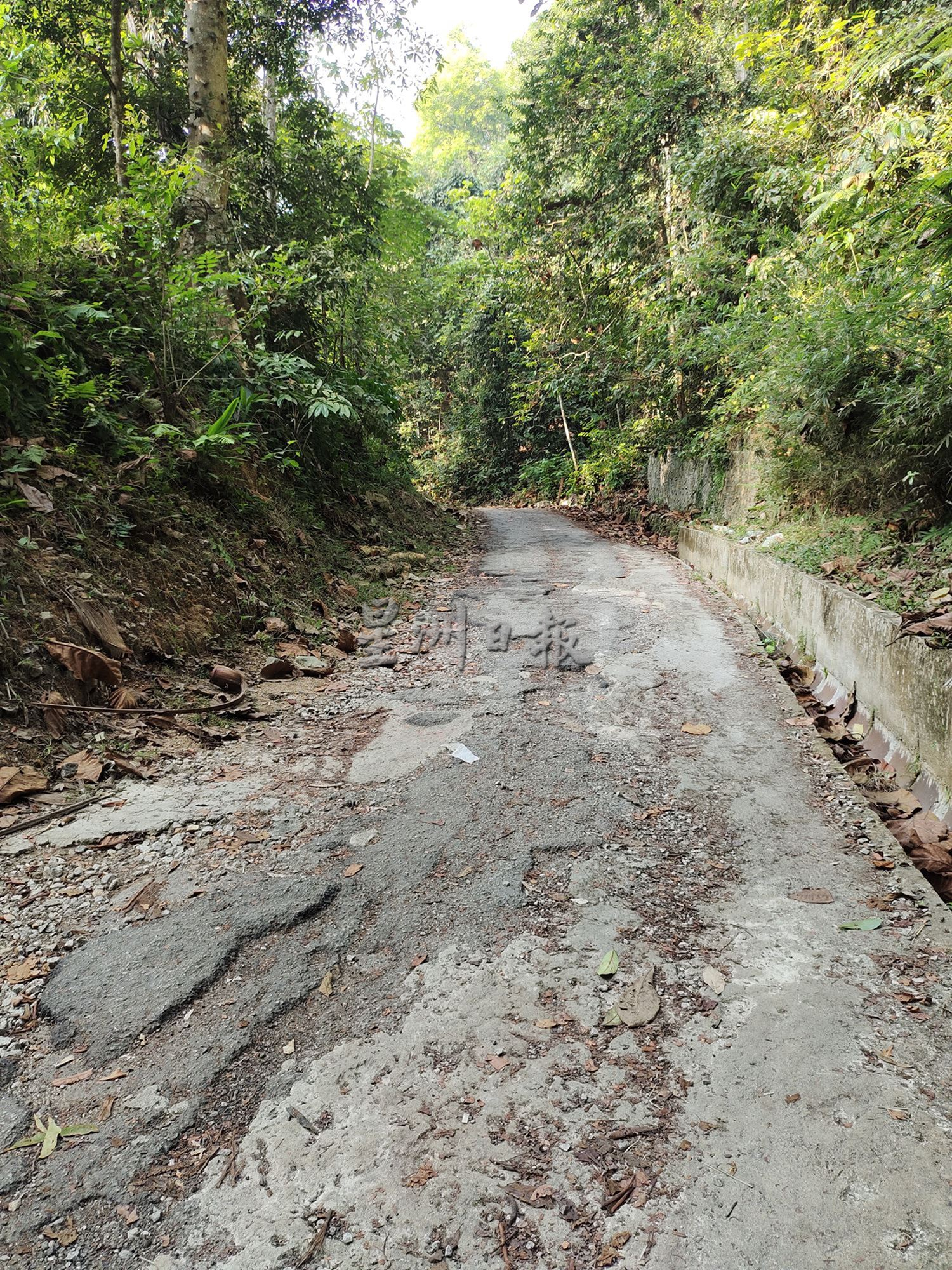 (大北马)卓坤山柏油路2月起关闭近2年,登山客及茶坊业者:太久了