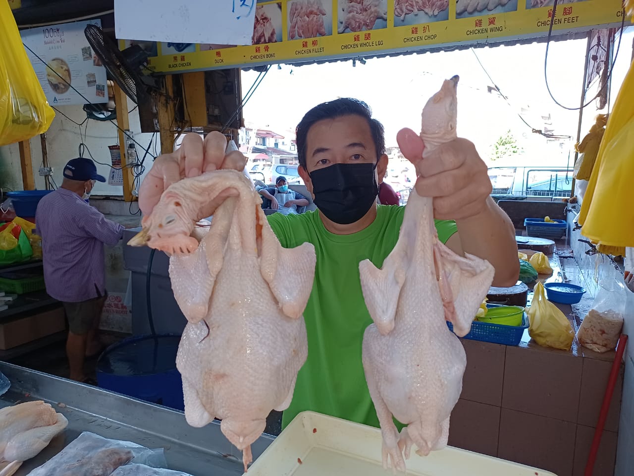 （版2头）大都会/农历新年，鸡难养大，1.7公斤至2公斤大只的菜园鸡卖断市