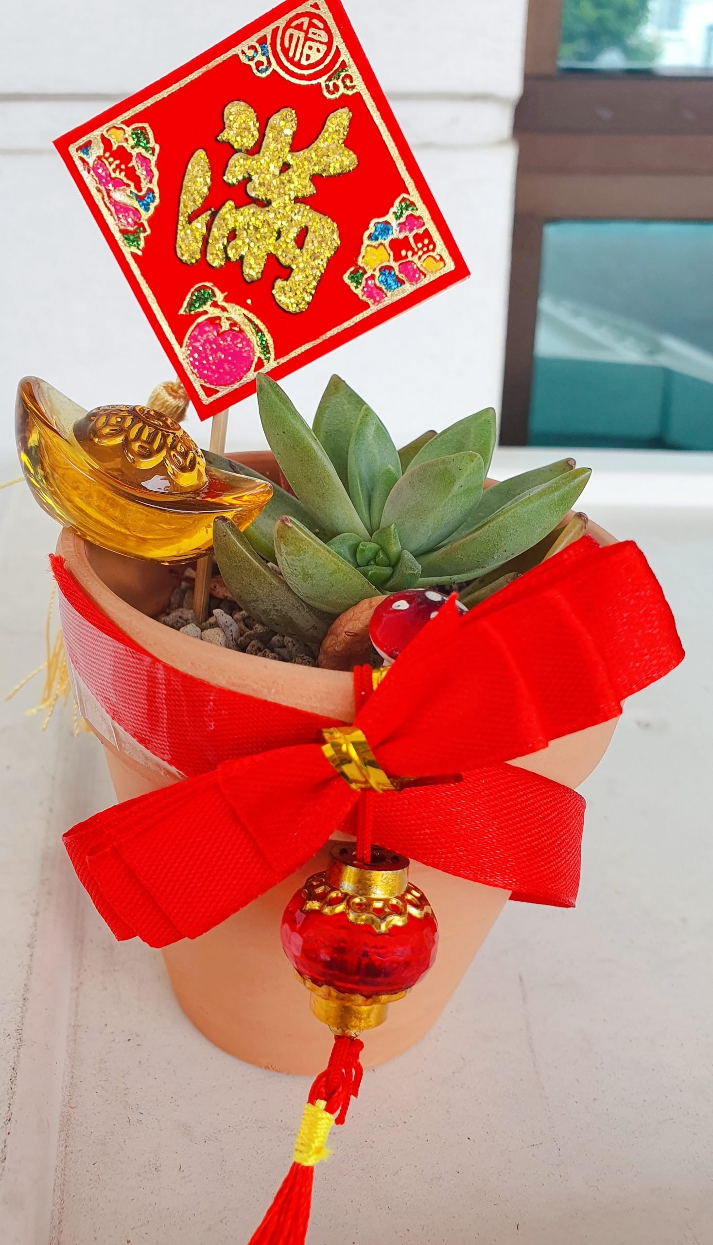 (预编26日见报)新年特稿(大都会封底)手作达人给多肉植物穿春装