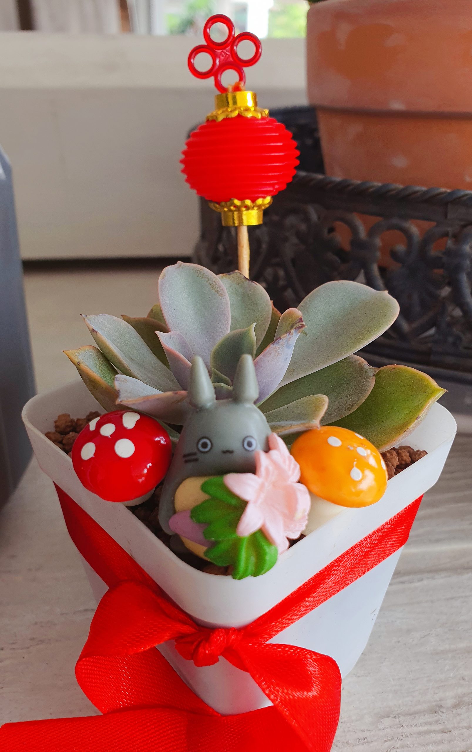 (预编26日见报)新年特稿(大都会封底)手作达人给多肉植物穿春装