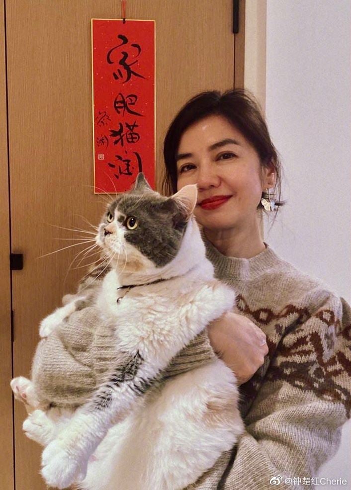 62岁锺楚红抱猫贺年 蔡澜题字“家肥猫润”