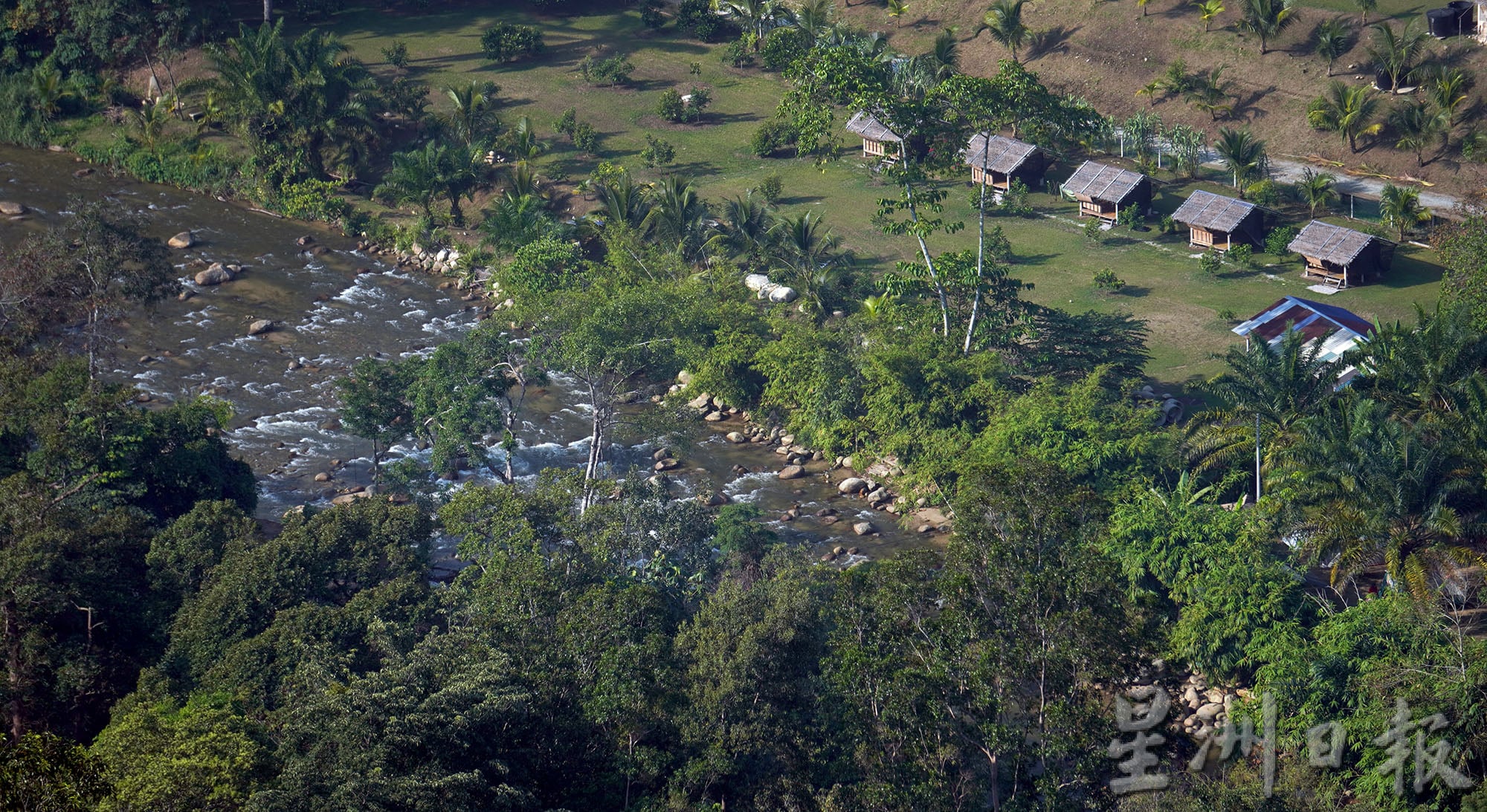 ★2月18日刊登/大霹雳封底主文/【疫游霹雳】