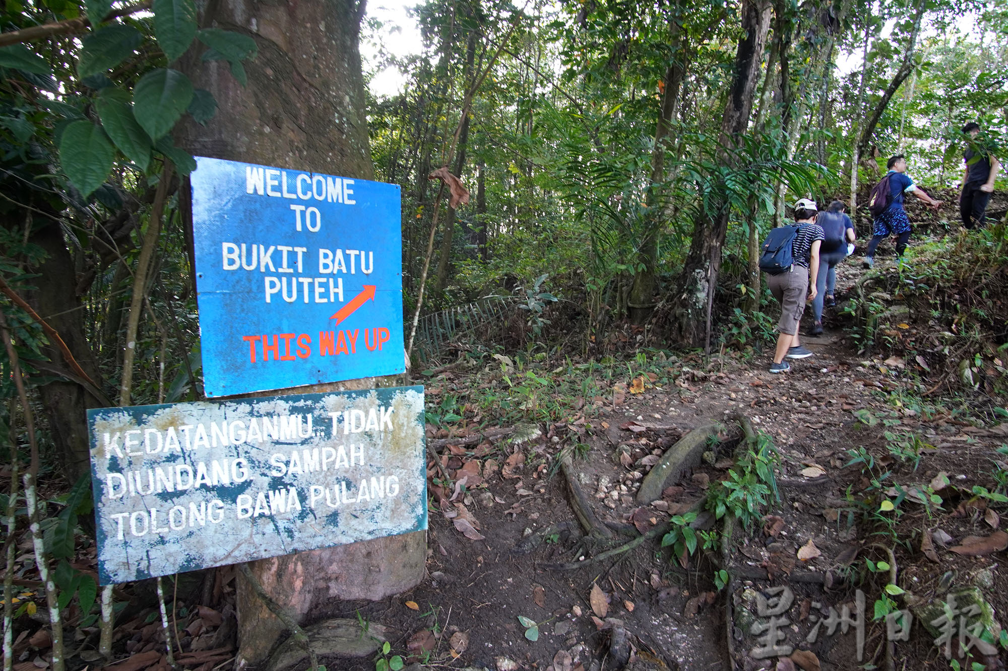 ★2月18日刊登/大霹雳封底主文/【疫游霹雳】