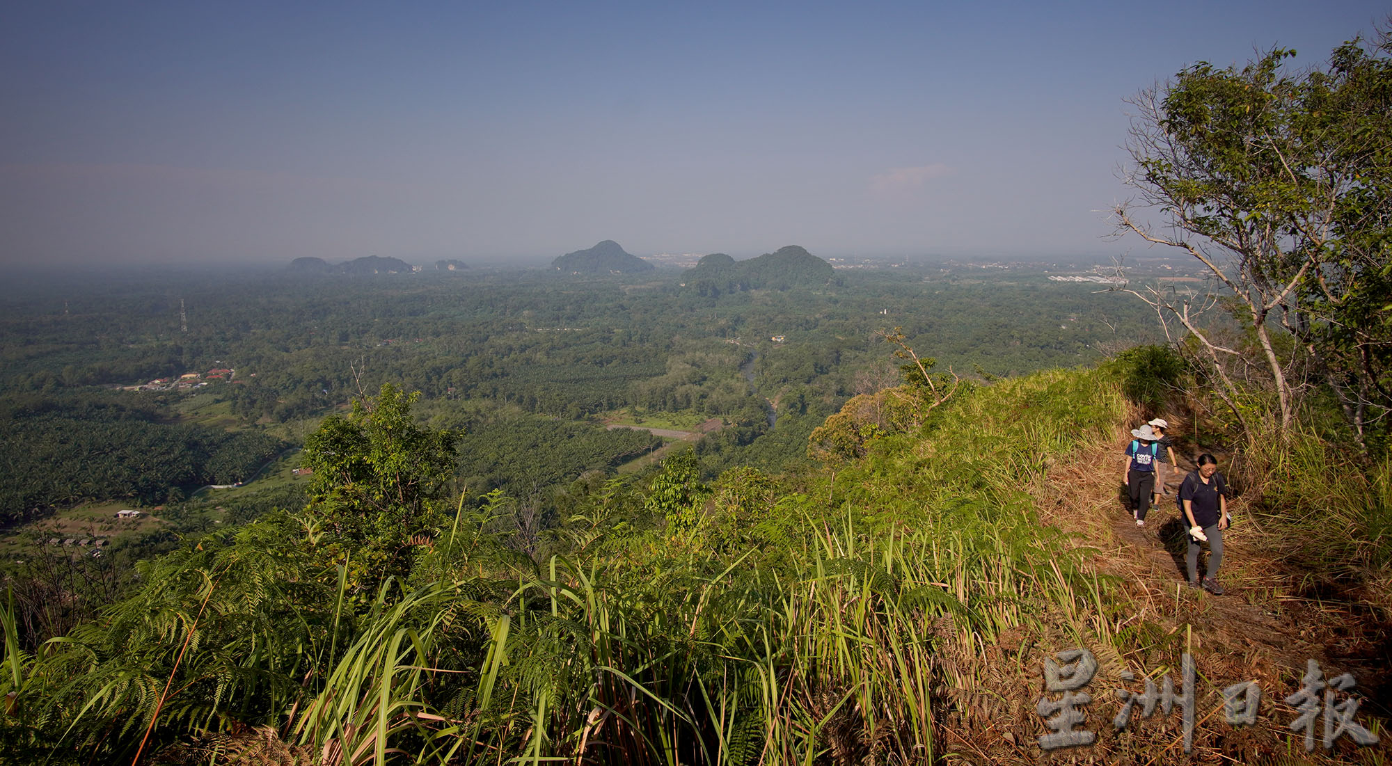 ★2月18日刊登/大霹雳封底主文/【疫游霹雳】