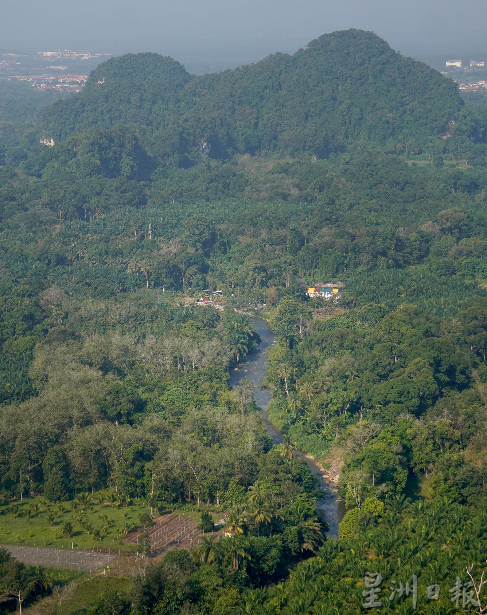 ★2月18日刊登/大霹雳封底主文/【疫游霹雳】