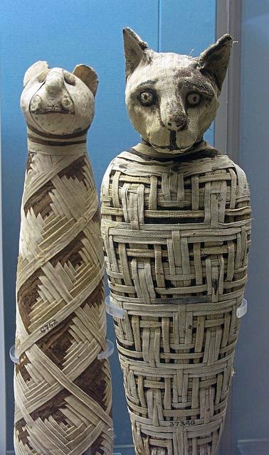 【埃及】西奈，聆听旷野的呼唤