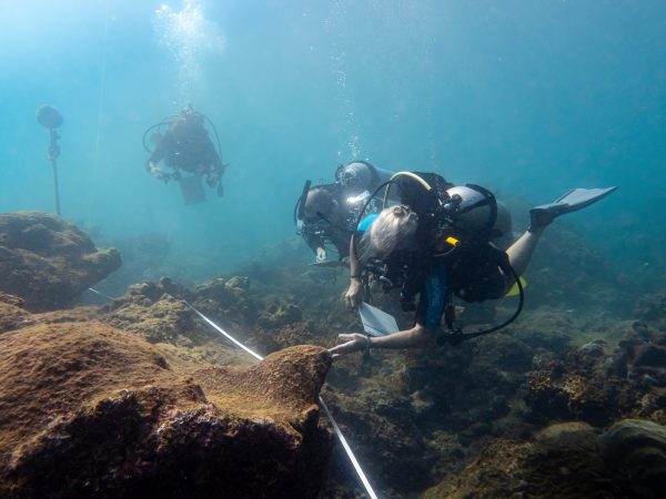   【科研发展】 劳力士蓝色使命计划：哥斯达黎加建立新『希望点』