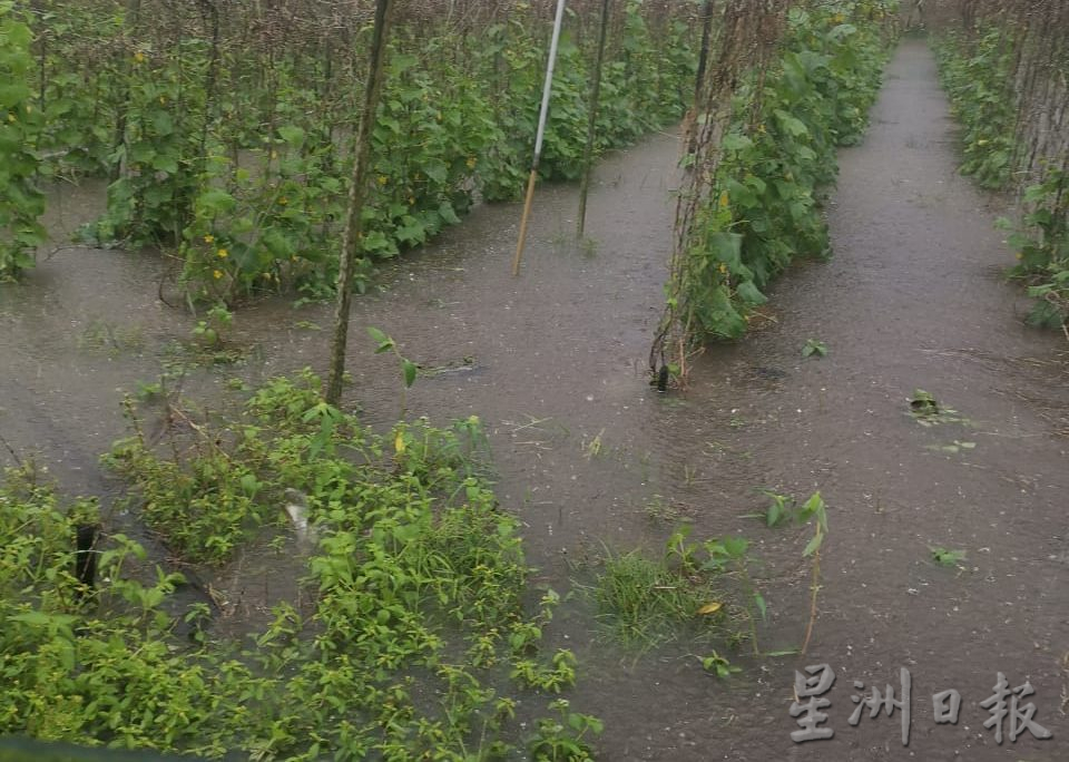 东：渔民无法出海，菜农无法耕种，2月下不停的雨让渔民及菜农好“难过”。