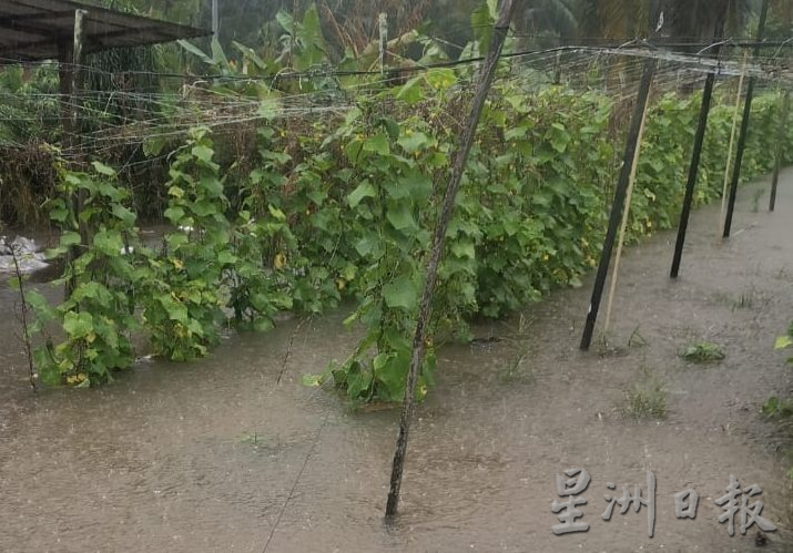 东：渔民无法出海，菜农无法耕种，2月下不停的雨让渔民及菜农好“难过”。
