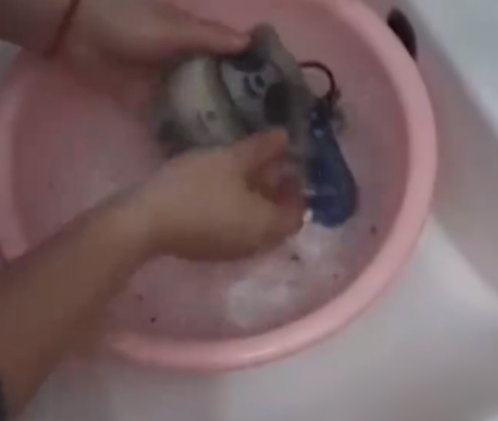 两年前将冰墩墩丢屋顶 今年一墩难求忙捡回家洗白白