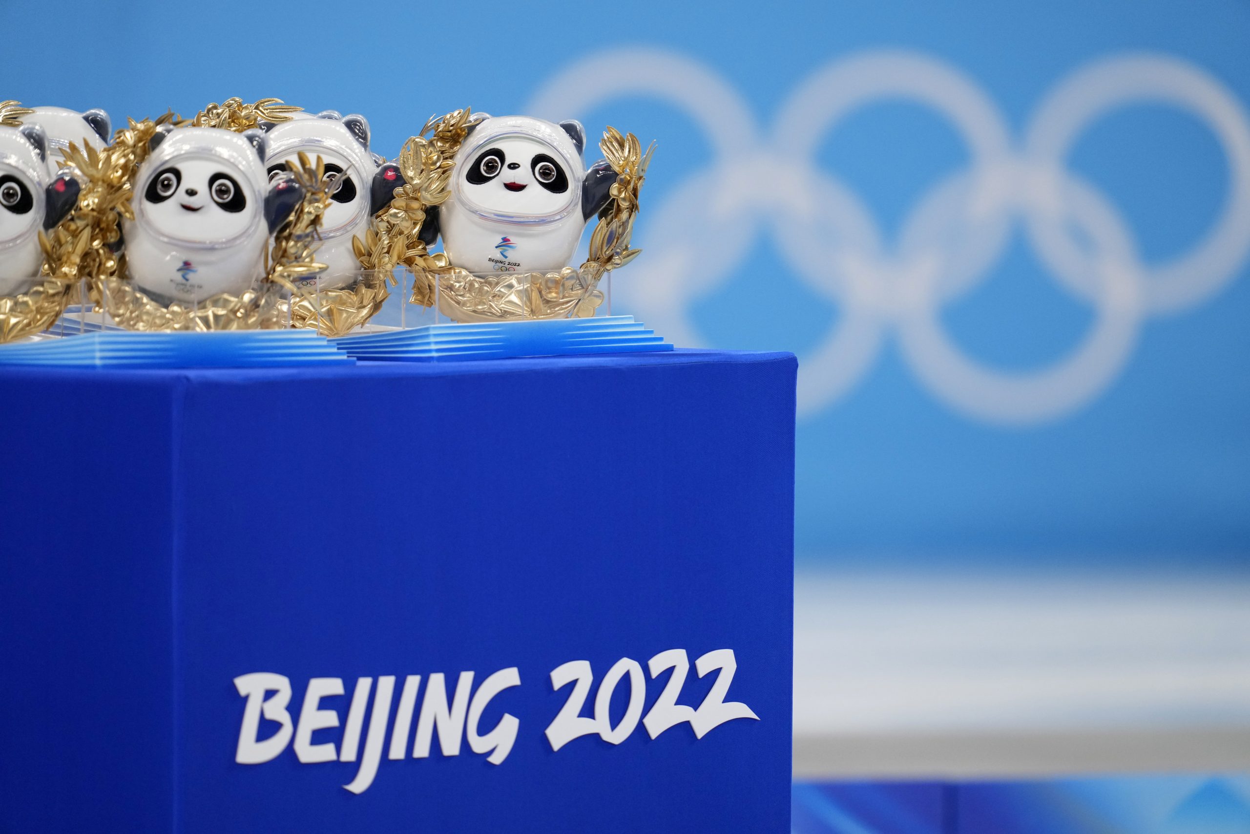 习近平：赠双胞胎孩子  摩亲王获一对冰墩墩