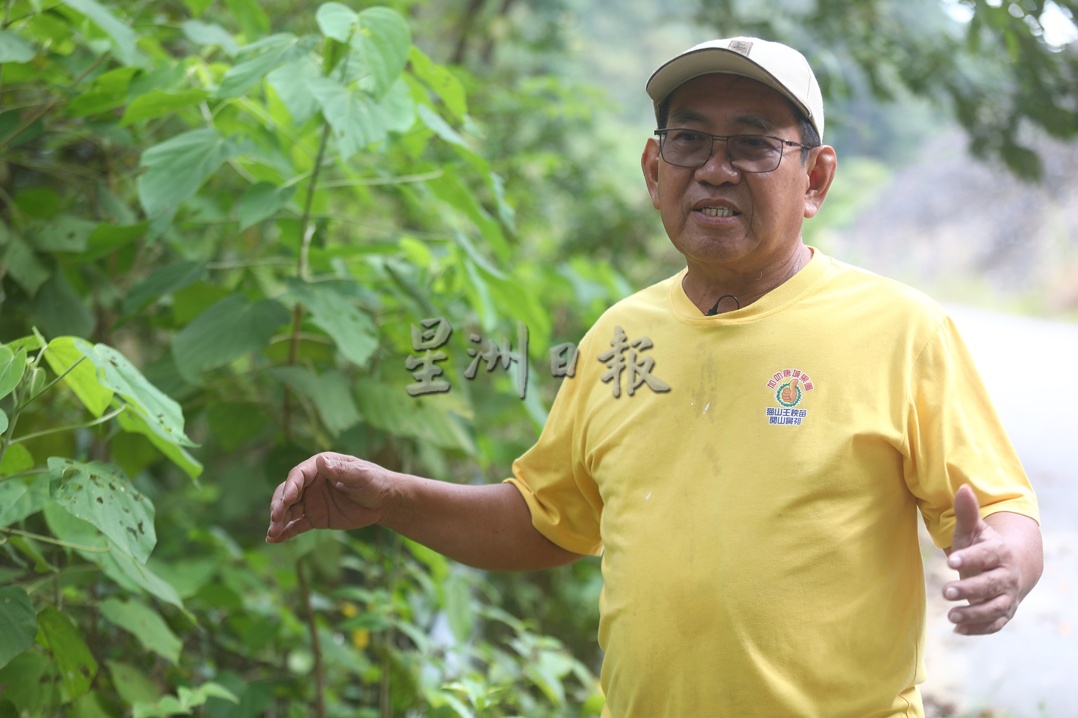 今天下版∕新闻专题∕1/3/寻找树桐海啸的元凶