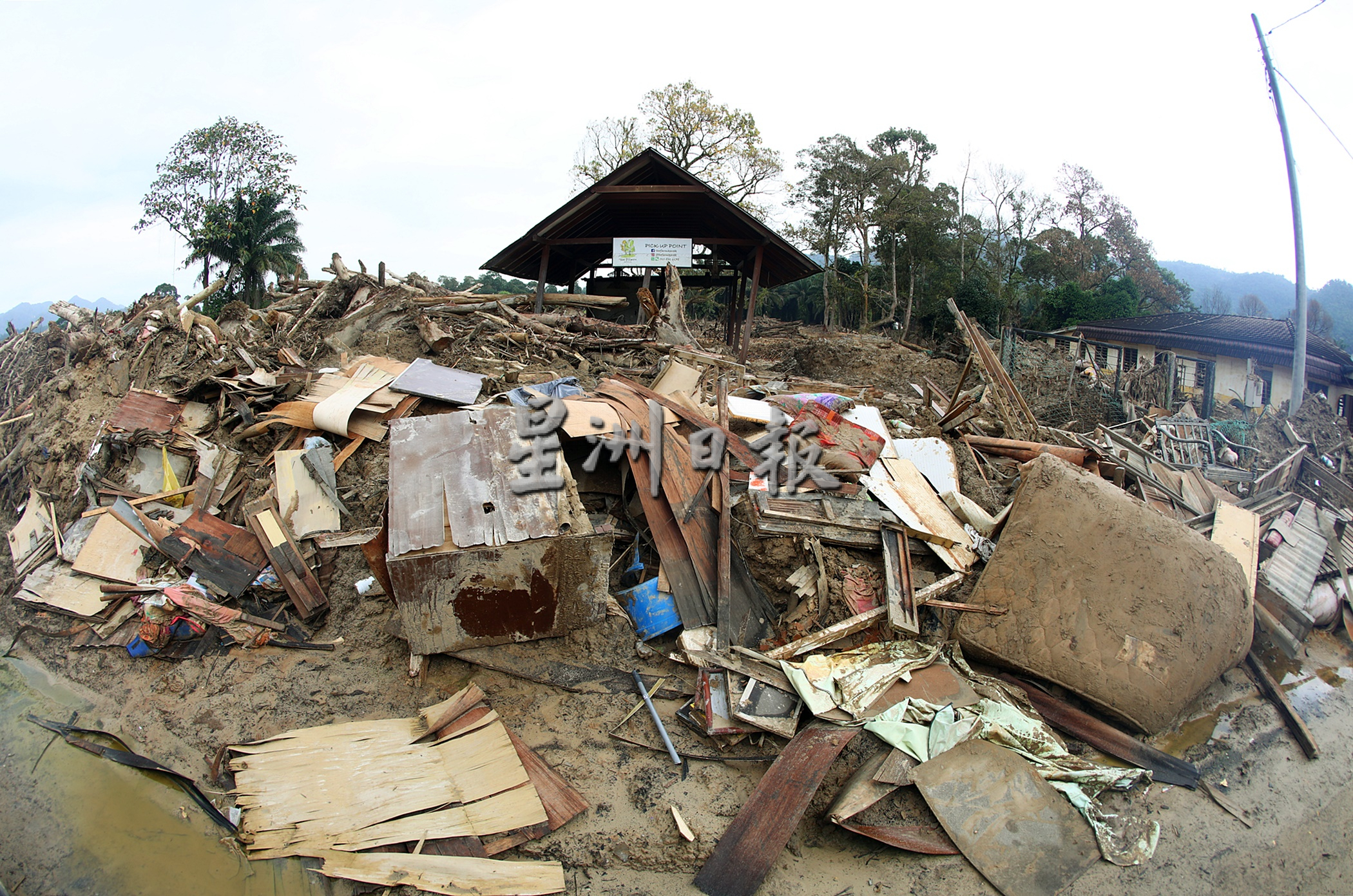 今天下版∕新闻专题∕1/3/寻找树桐海啸的元凶