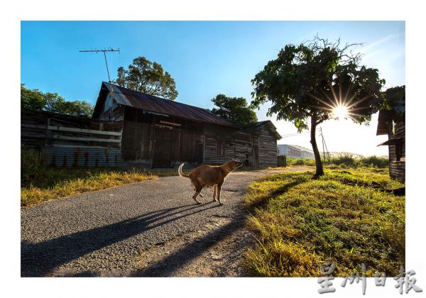 供fb/文员爱上人文纪实摄影,以快门记下故事