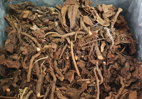 供FB／（新年集稿）虎”之草药，知多少？